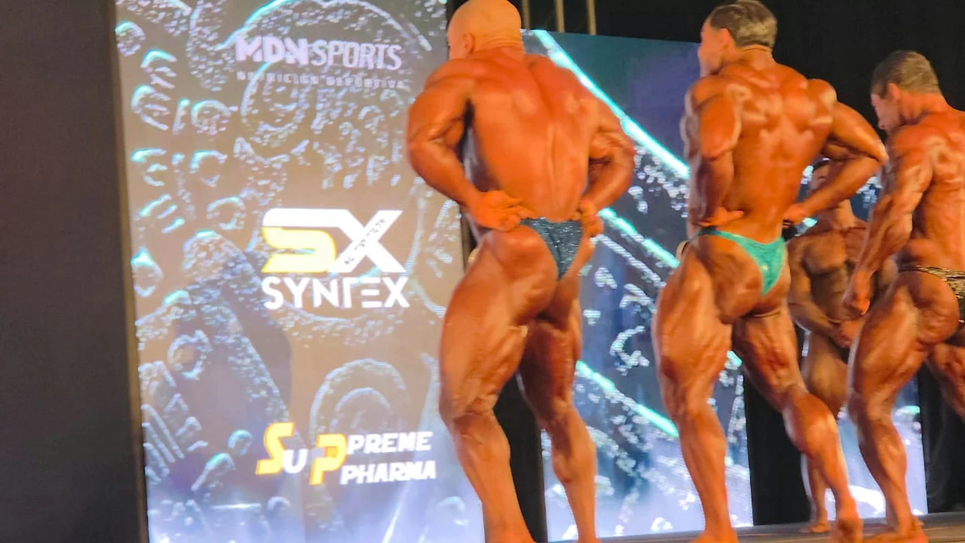 Syntex Team