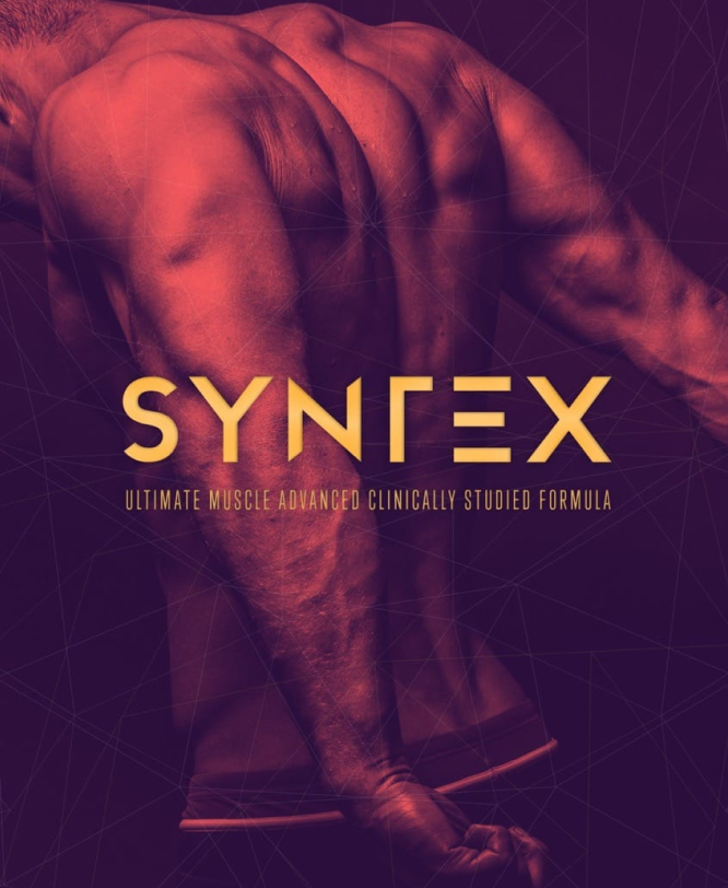 Syntex - Contacto